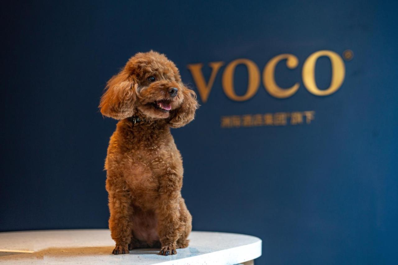 Voco Nanjing Garden Expo, An Ihg Hotel Екстериор снимка